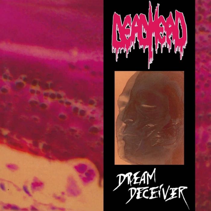 DEAD HEAD - Dream Deceiver / BLACK LP