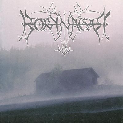 BORKNAGAR - Borknagar / CD