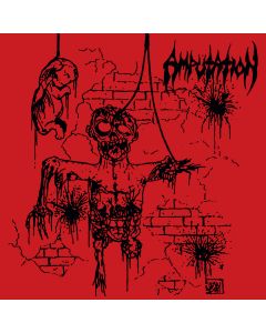 AMPUTATION - Slaughtered in the Arms of God / LP