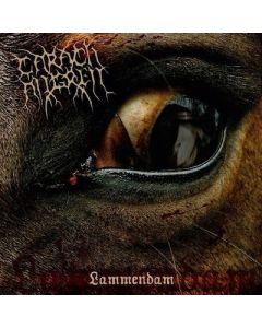 CARACH ANGREN - Lammendam / CD
