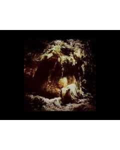 WOLVES IN THE THRONE ROOM - Celestial Lineage / 2LP