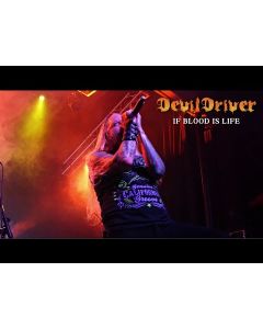 DEVILDRIVER - Dealing With Demons Vol II / CD Digipak 